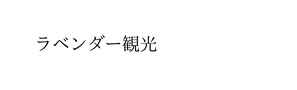 ラベンダー観光